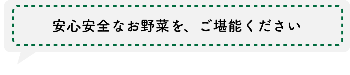 安心安全なお野菜をご堪能ください