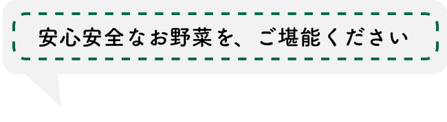 安心安全なお野菜をご堪能ください