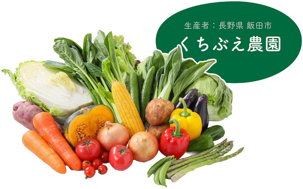 お試しセットの内容