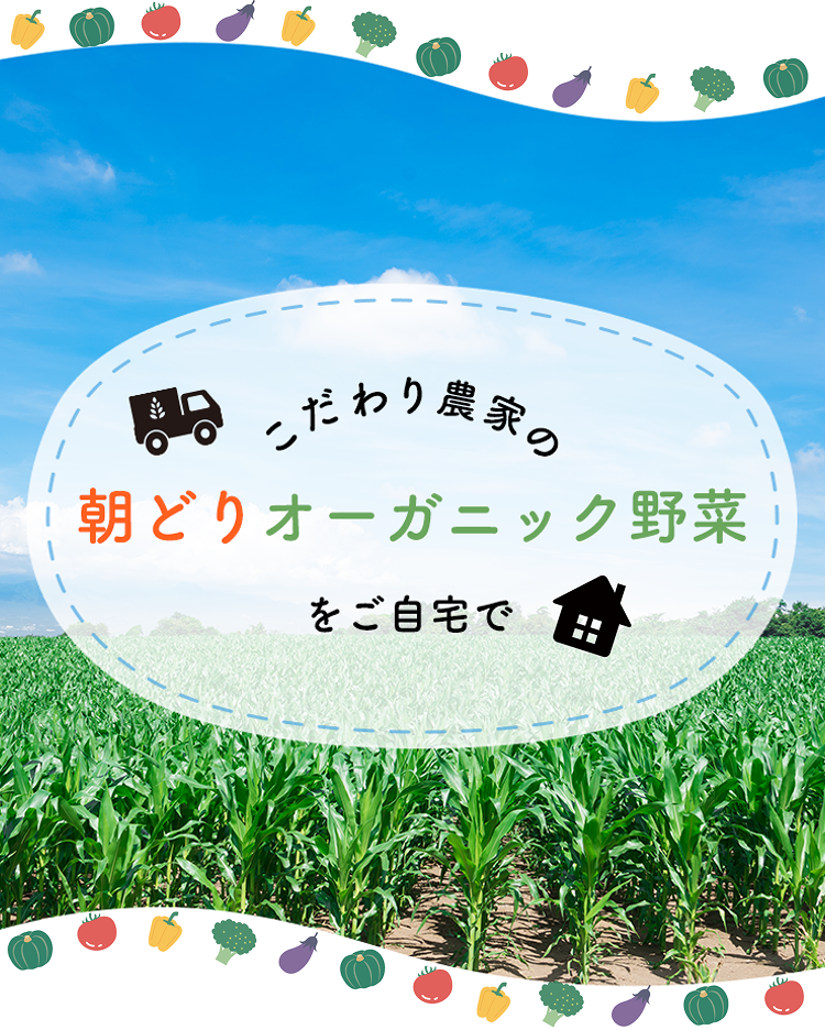 こだわり農家の朝どりオーガニック野菜をご自宅へ